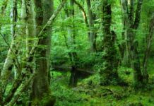 The Letters to the Seven Churches A Lesson for the Church