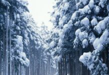 Abandonment of Laodicea