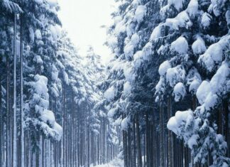 Abandonment of Laodicea