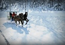 The Church of Ephesus The Church That Lost Its Love