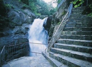 The Purpose of Revelation for the Seven Churches