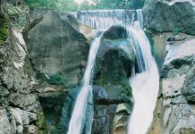 Prince Alexander’s Forced Abdication