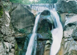 Prince Alexander’s Forced Abdication