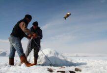 Exploring the Upper Nile