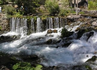 The Festival of Bacchus in Egypt