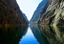 The Death of the King’s Son