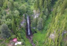 New News Reaches Croesus