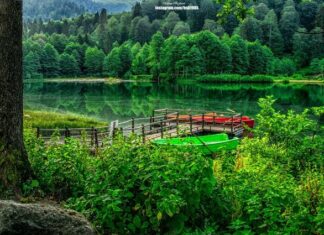 Croesus Honors the God of Delphi