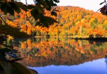 Gifts Sent by Croesus to the Oracles